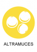 altramuces altramuces