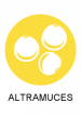 altramuces