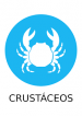 crustaceos crustaceos