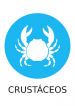 crustaceos