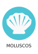 molusco molusco