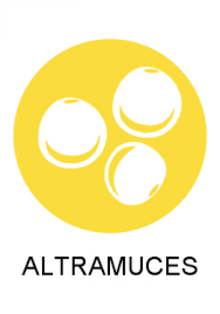 altramuces